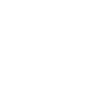 Price tag icon with dollar symbol.